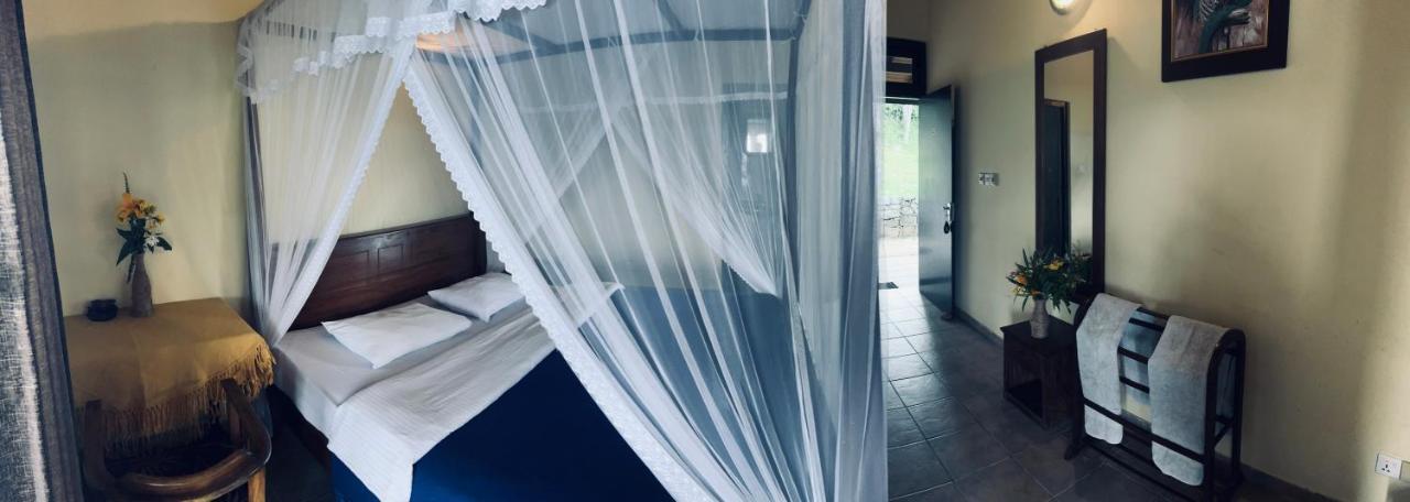 Ambiente Guest House エッラ エクステリア 写真
